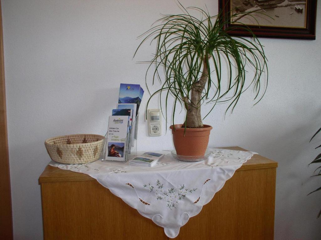 Haus Waldfriede Apartment Manaus Ngoại thất bức ảnh